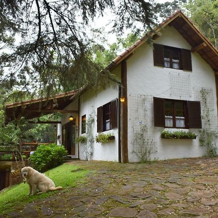 Chalet Da Hortensias Villa Cunha Exteriör bild