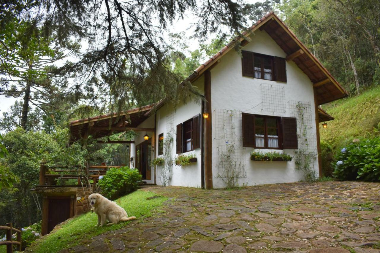 Chalet Da Hortensias Villa Cunha Exteriör bild