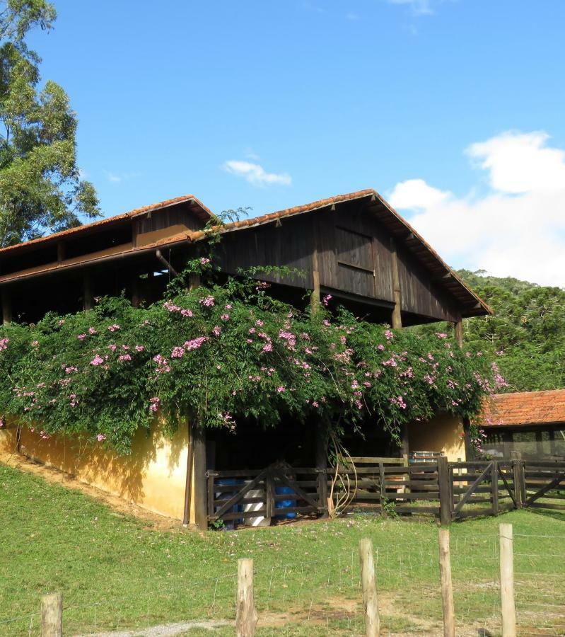 Chalet Da Hortensias Villa Cunha Exteriör bild